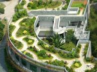 مجموعة من الشباب الاردني يطلقون مبادرة لزراعة اسطح المنازل والمؤسسات