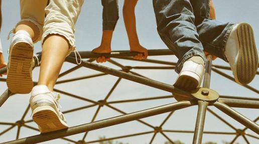 التربية  الاجتماعية